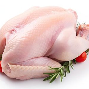 Fresh Chicken