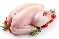 Fresh Chicken