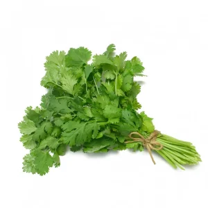 Green Coriander